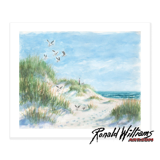 Prints - Sand Dunes By The Ocean