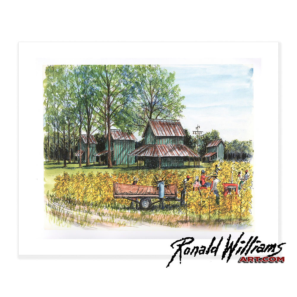 Prints - Picking Tobacco Time of Year