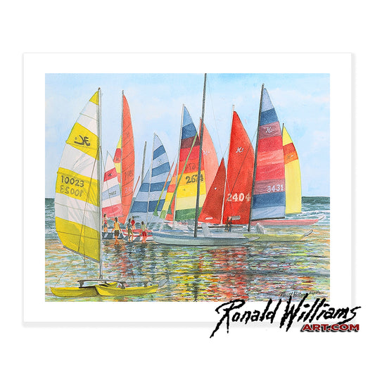Prints - A Fun Day with Hobie Cats Sailboats