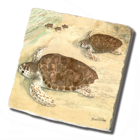 Coaster - Tumbled Tile Turtle Hatchlings