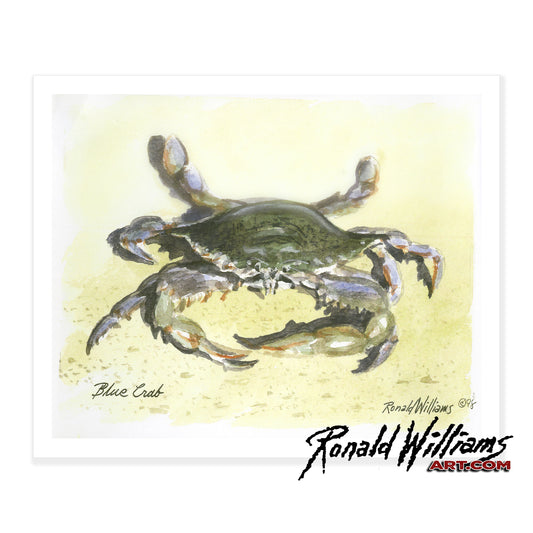Prints - Blue Crab In The Sand