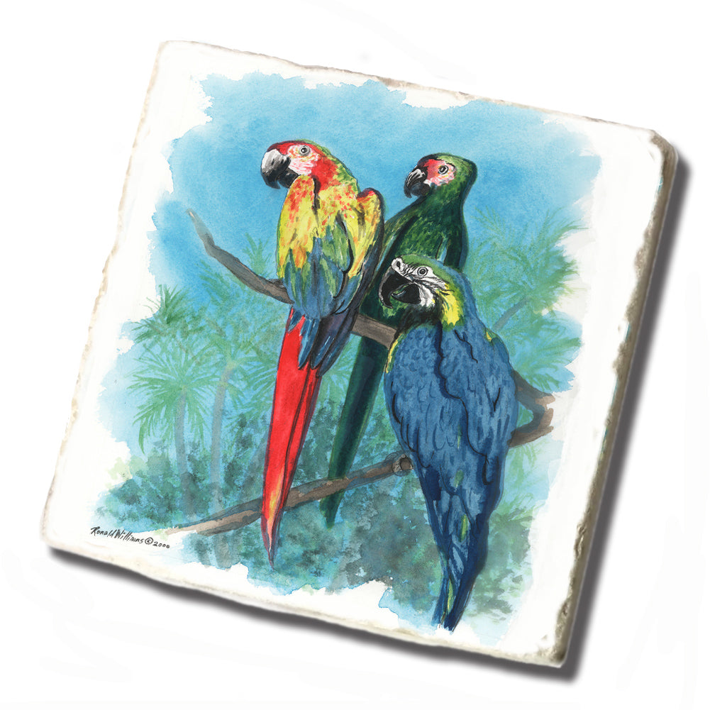 Coaster - Tumbled Tile Three Colorful Parrots
