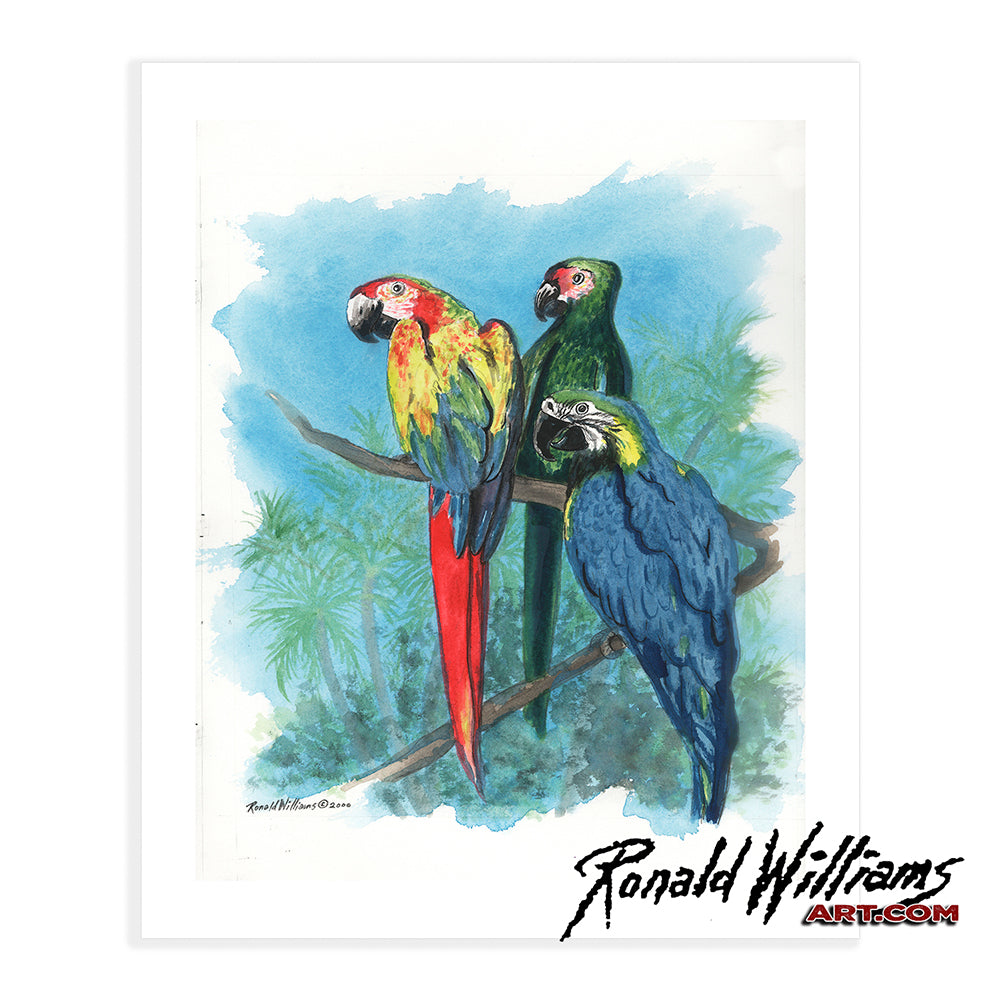 Prints - Three Parrots Together On A Limb