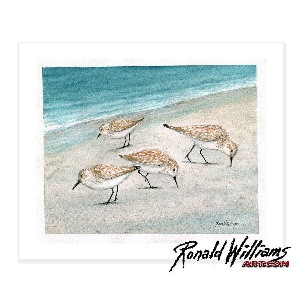 Prints - Sand Pipers On The Beach