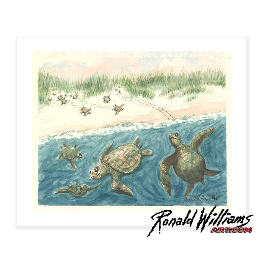 Prints - Sea Turtles and Hatchlings