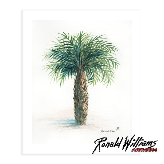 Prints - One Palm Tree To Sit Under
