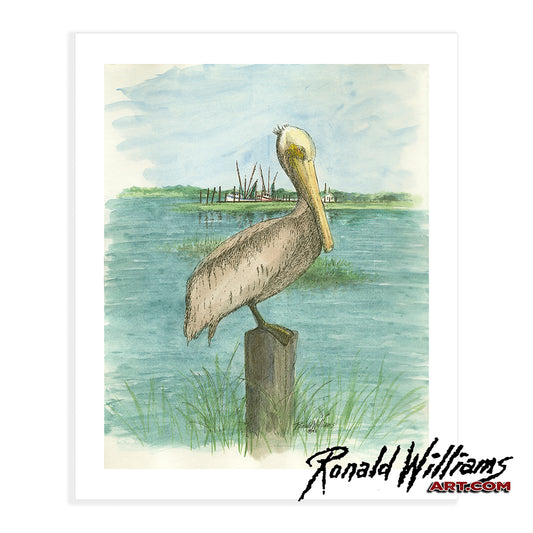 Prints - Pelican Sitting By The Water Waiting on a Meal