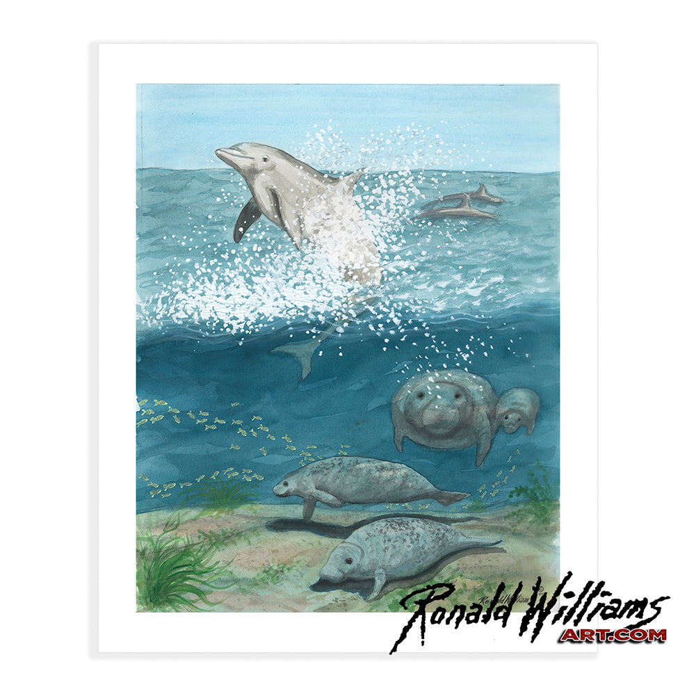 Prints - Sea Life with Dolphin and Manatees