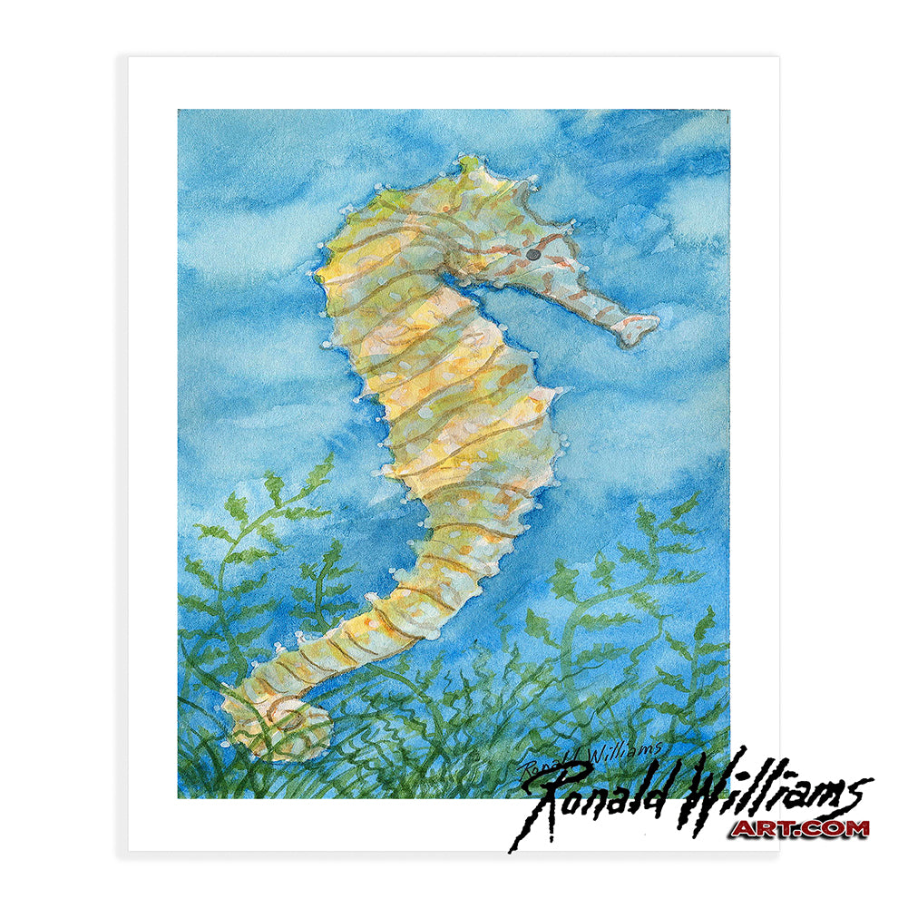 Prints - Colorful Seahorse Just Hanging Out