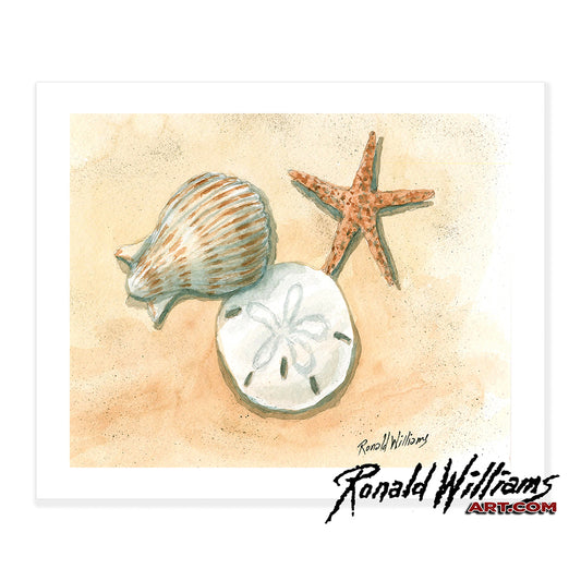 Prints - Seashell, Sand Dollar, and Star Fish Collection