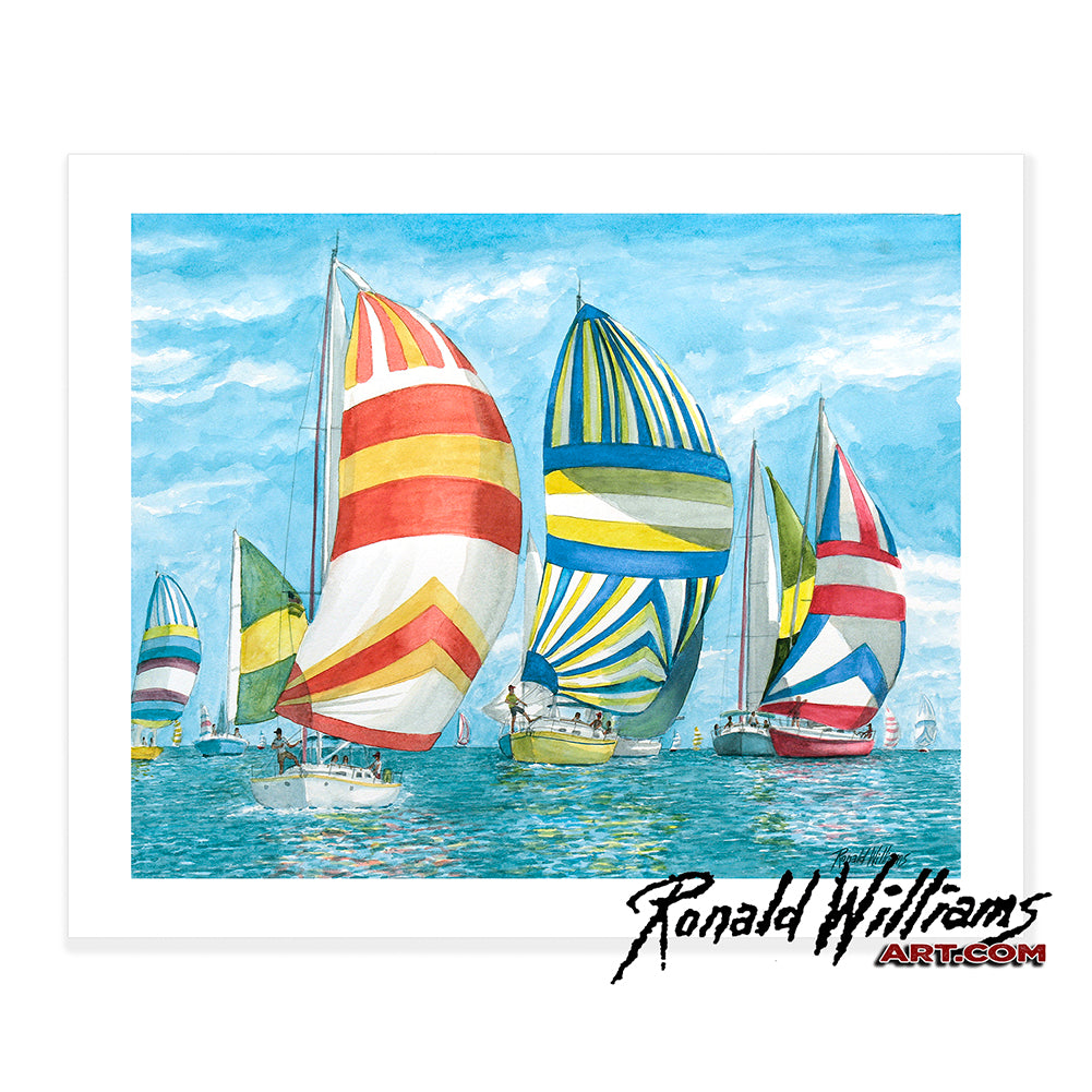 Prints - Spinnaker Sailing At It's Best
