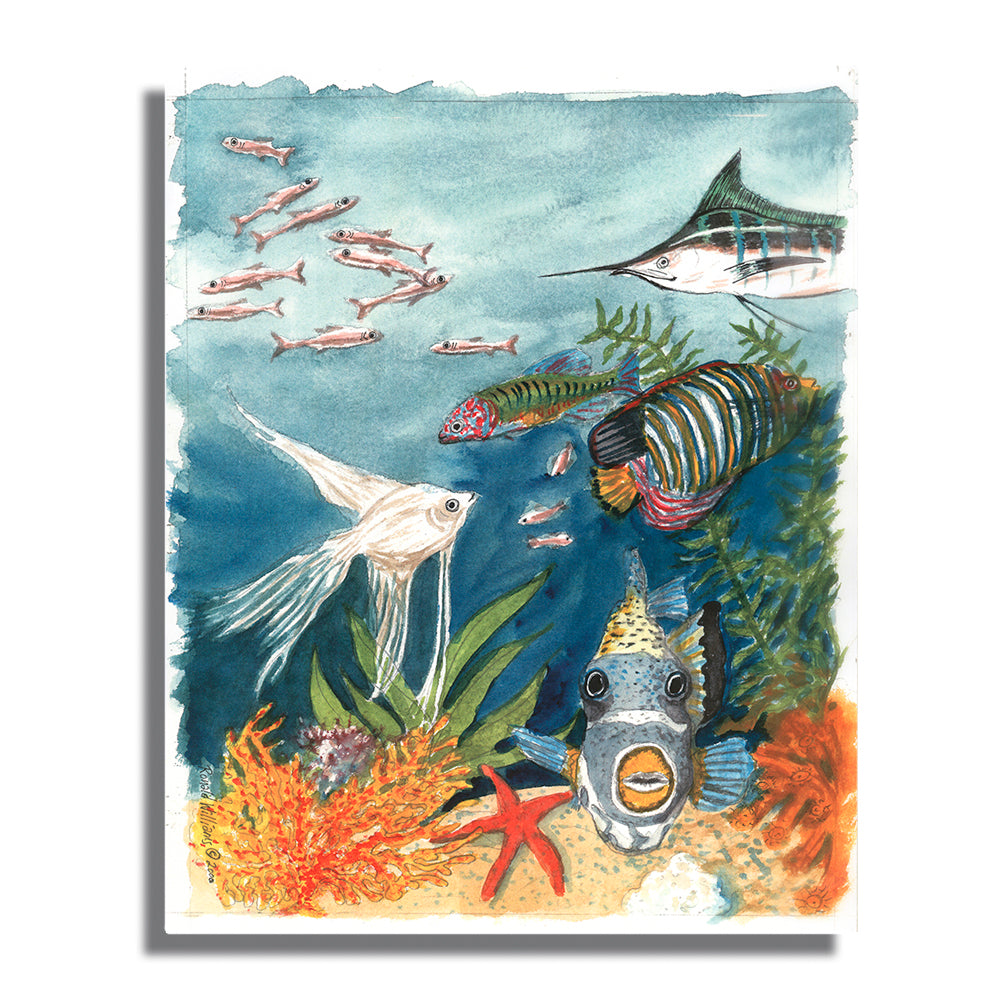 Metal Prints - Marine Life Colorful Under Water Aluminum Print
